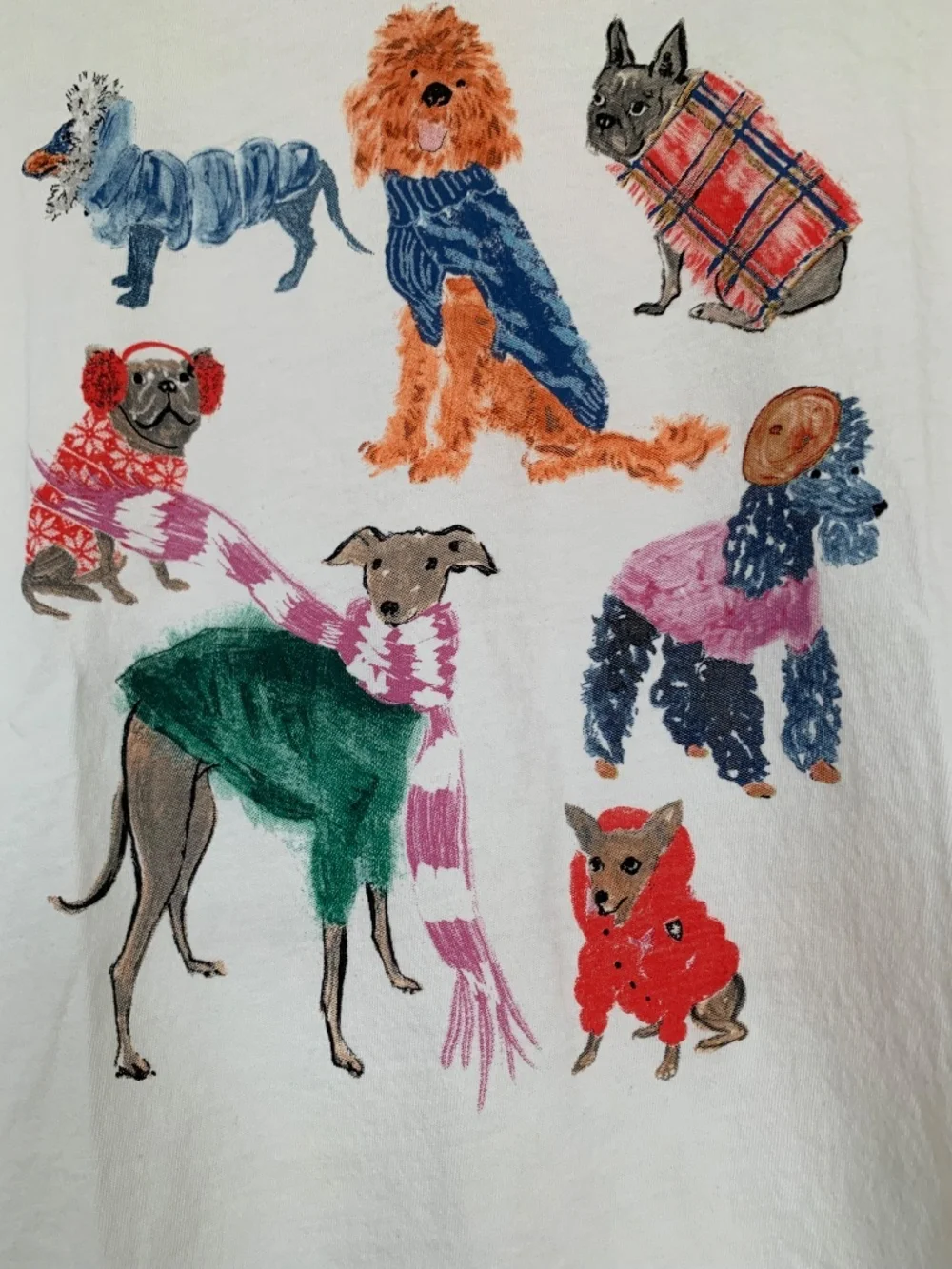 J.Crew Collector Tee Beige Dog Graphic Print T- shirt Crewneck XXS
